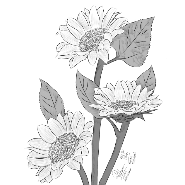 Bunga Matahari - Lineinktober