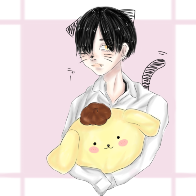 🐱🍮