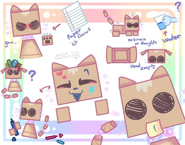 Box cat activities