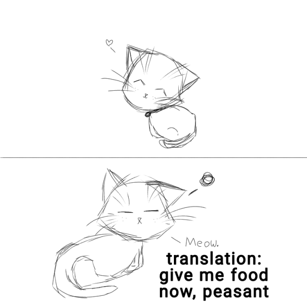 my cat when she was little vs now