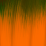 Hair Texture #39