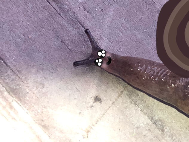 I think it’s a slug…idk
