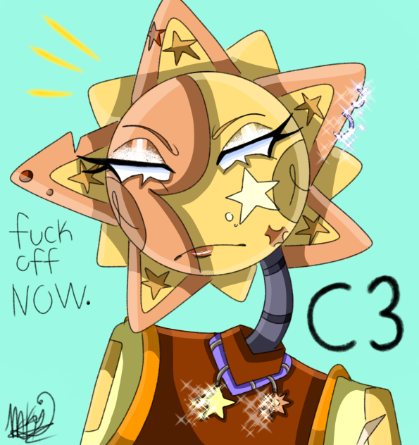 C3 face expression challenge
