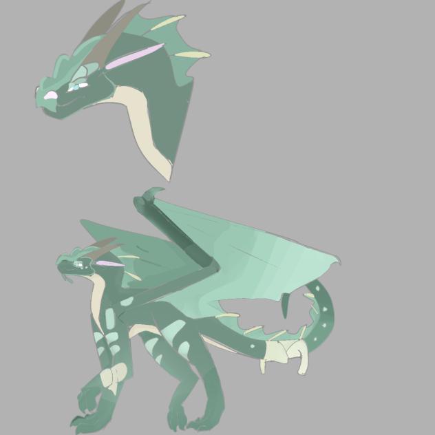 Rando
