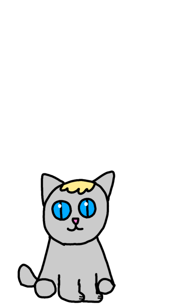 The Kitty
