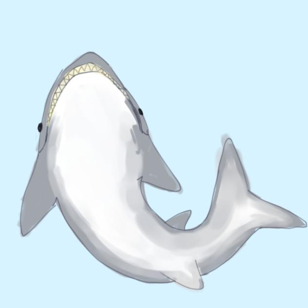 SH4RK