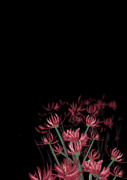 曼珠沙華