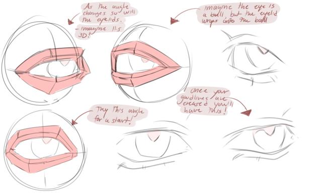 Eyeball study