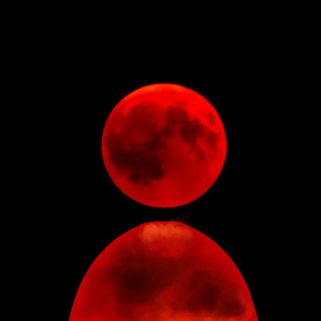 BloodMoon Pfp.