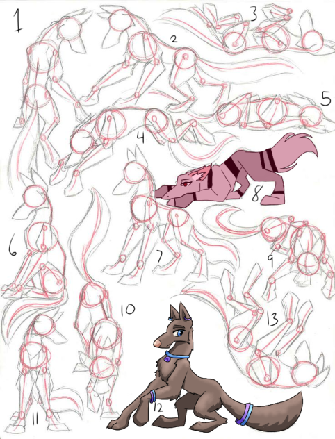 Canine collab