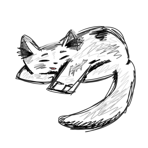 sleeping cat