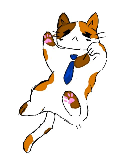 Spots the business cat