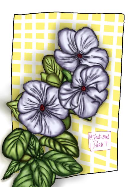 Blue Grayish Vincas