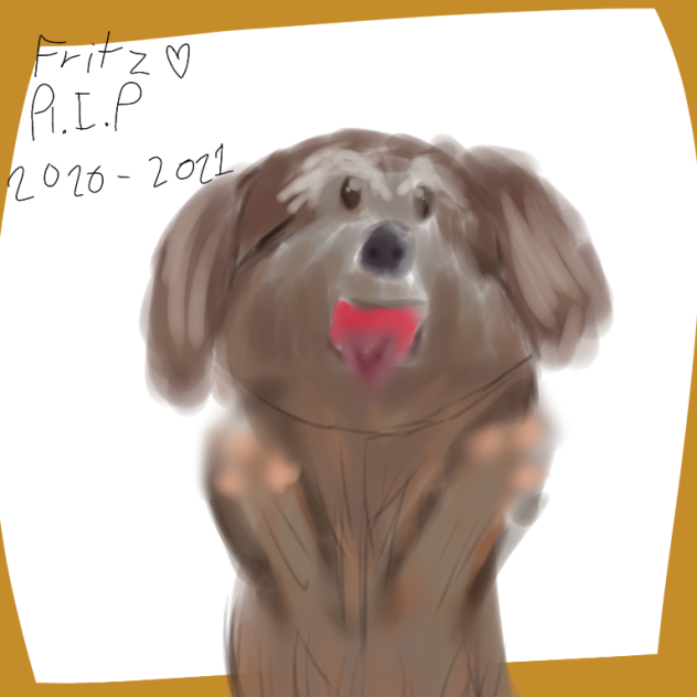 Fritzy, My puppy will be missed.