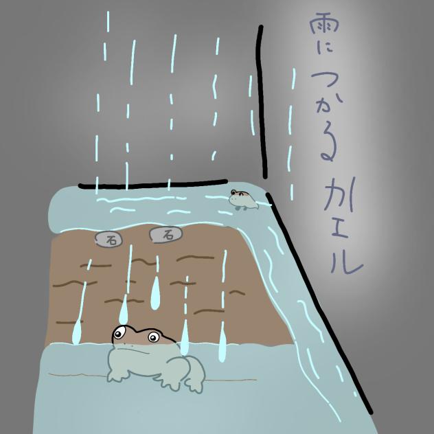 かえる