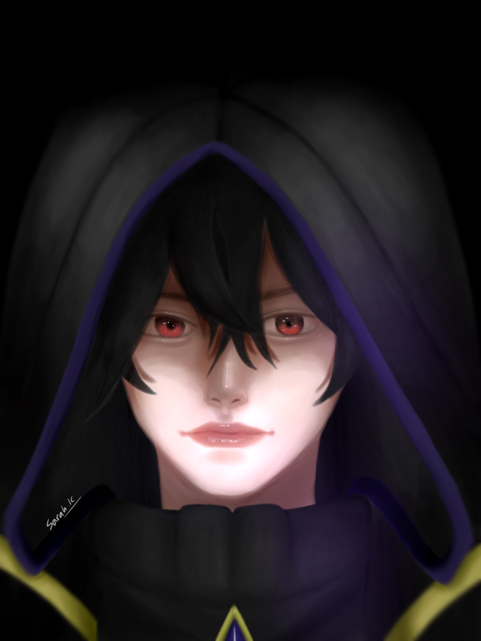 Shadow ibisPaint