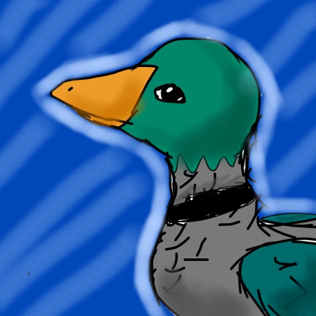 Duck sticker