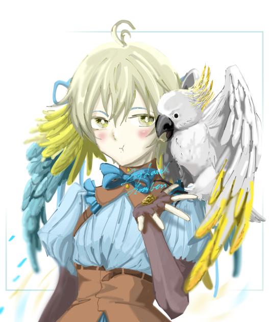 Cockatoo girl