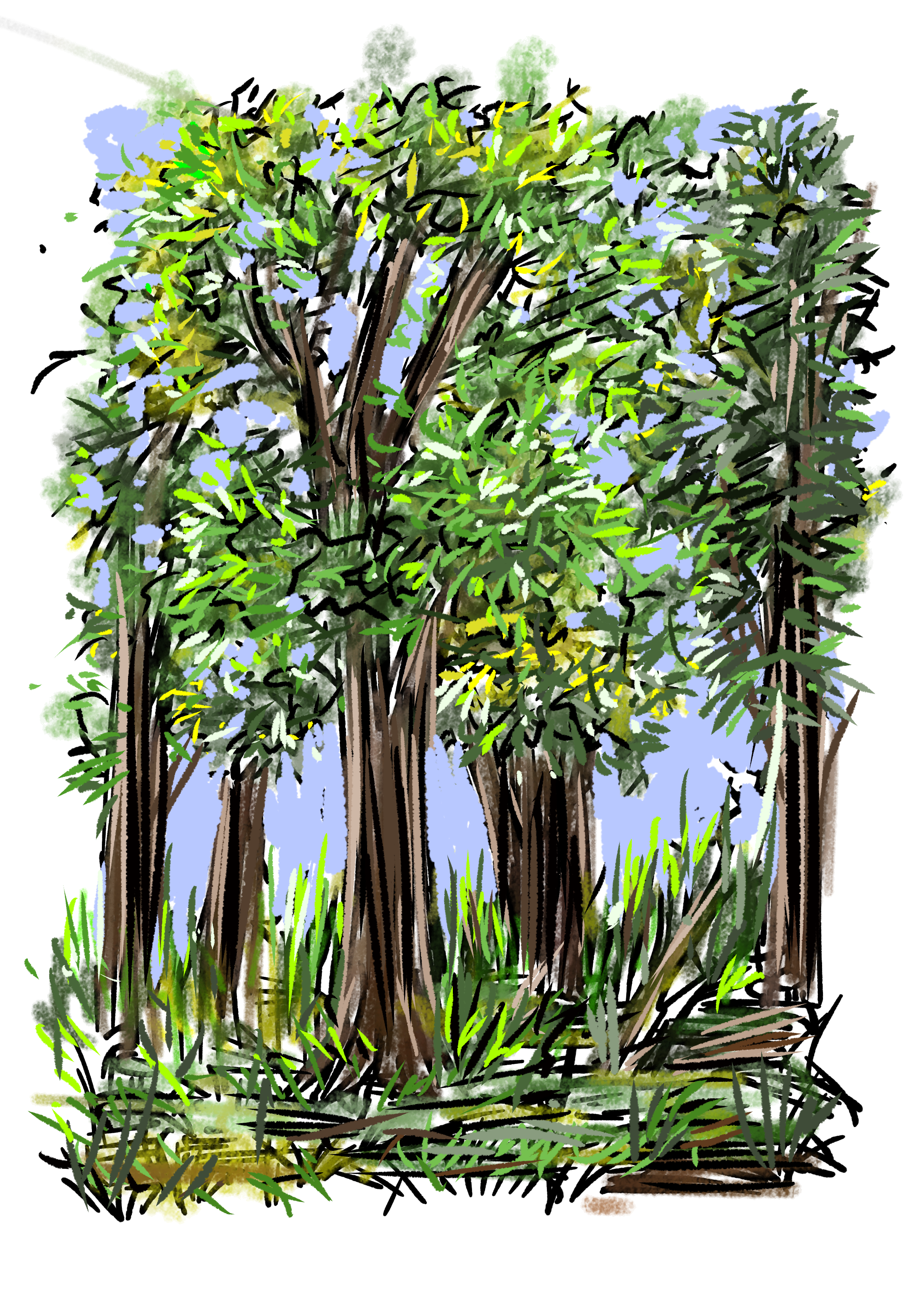 trees - ibisPaint
