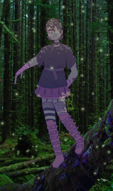 in the silly forest