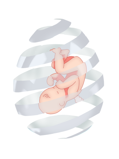 Angel egg Transparent