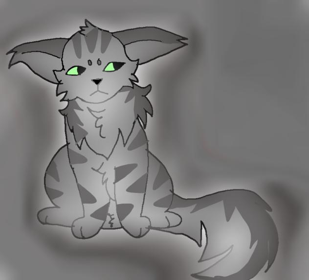 Practice on drawing long hair cats. Pt1