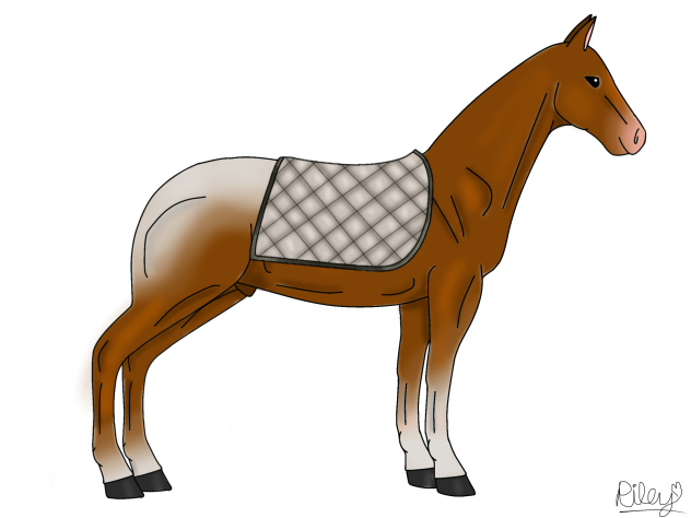 green-gray saddle pad 💿