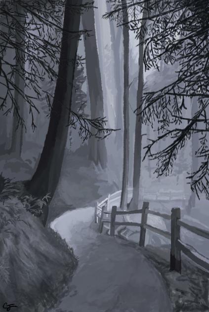 the woods bg practice digital art