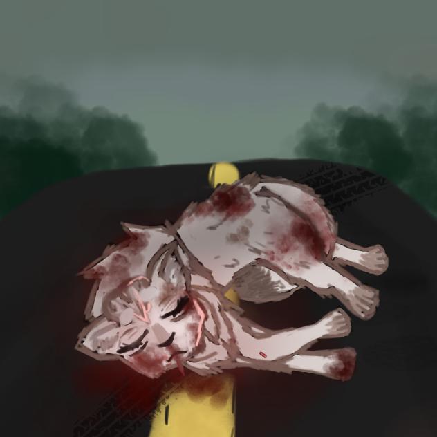 snowfur's death TW BLOOD