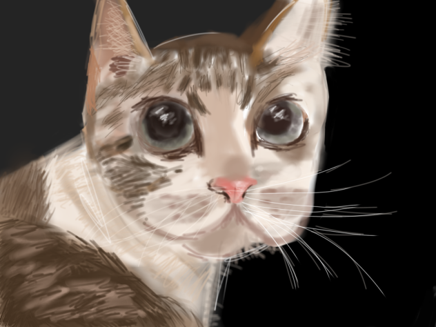 A Cute Cat - ibisPaint