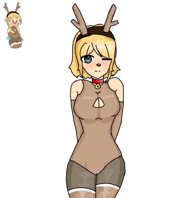 Dtiys entry