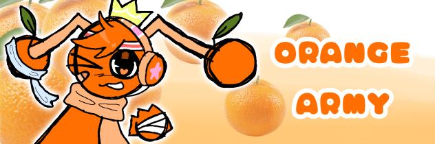 ORANGE ARMY BANNER CONTEST
