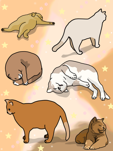 I LOVE CATS ✨