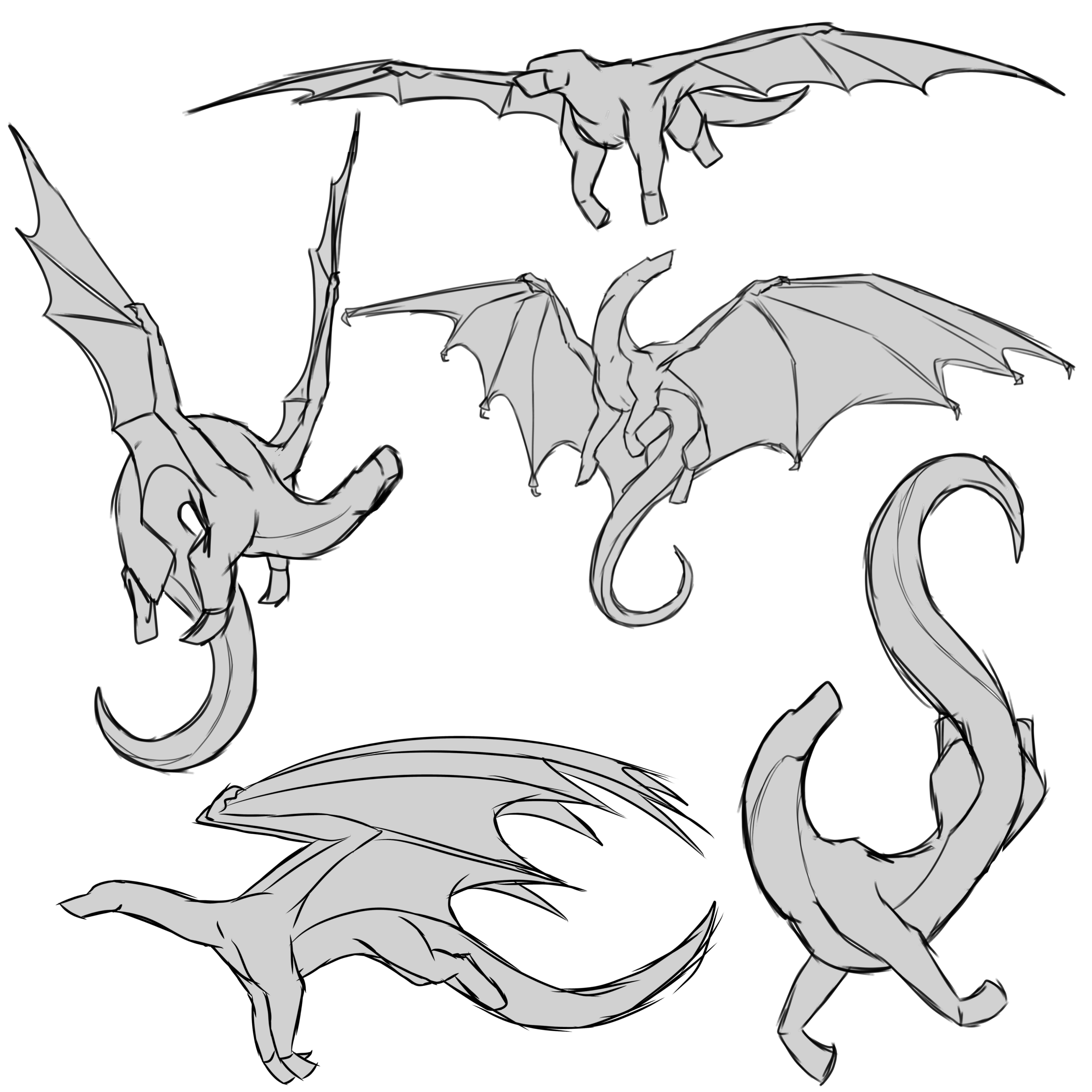 Some Flying Dragon Bases IbisPaint Some Flying Dragon Bases IbisPaint