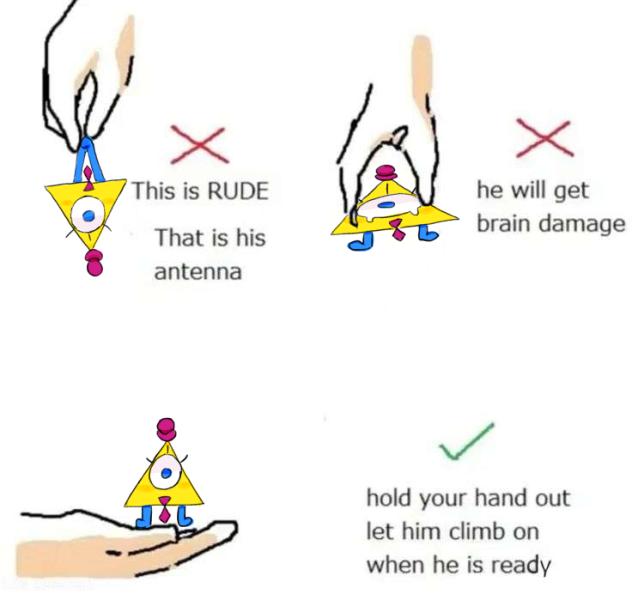 How to hold Steve