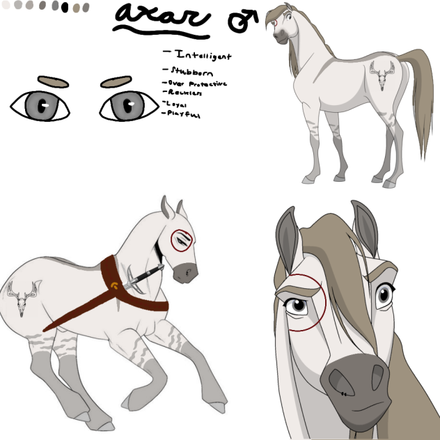 Axar - Reference Sheet