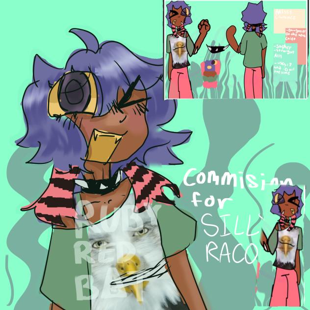 Commission for Silly Racoon