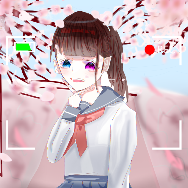 オッドアイにセーラ服は可愛い説　見本｡