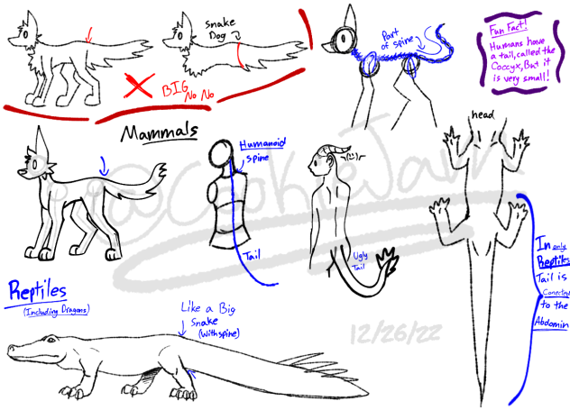 How to (correctly) draw tails!