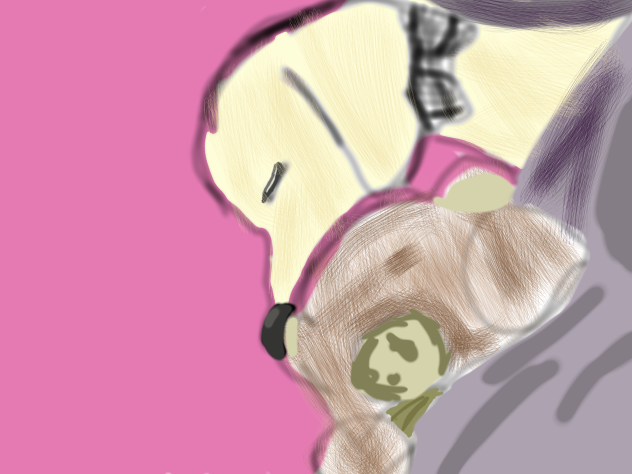 albert slep