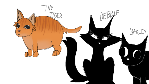Some of my cats