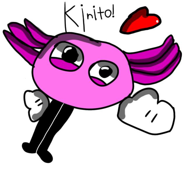 Kinito pet