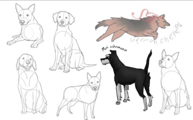 Dog collab - ibisPaint