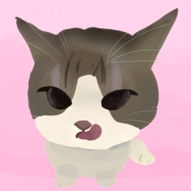 kitty cat