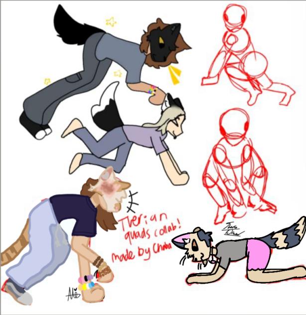 Therian Quads Collab