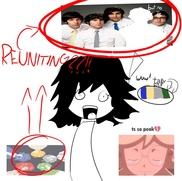 IS TALLY HALL REUNITING