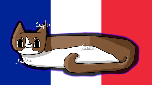 Pixel baguette