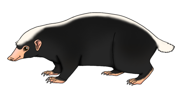 Sunda Stink Badger render