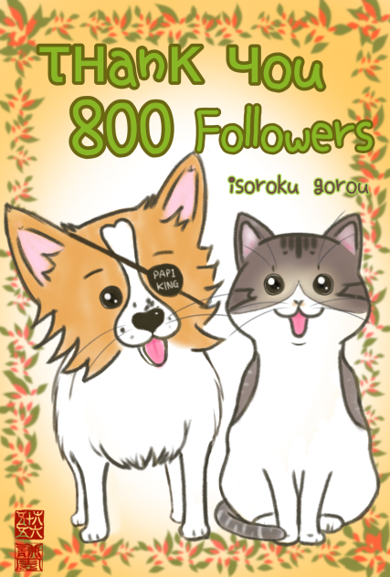 Thank you 800 followers