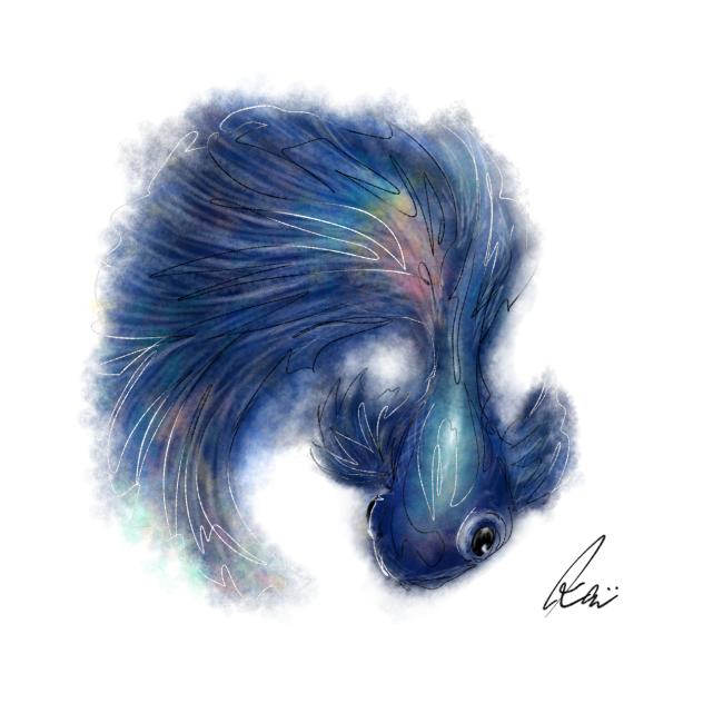 ベタ　Betta